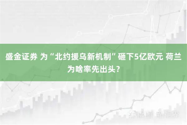 盛金证券 为“北约援乌新机制”砸下5亿欧元 荷兰为啥率先出头？