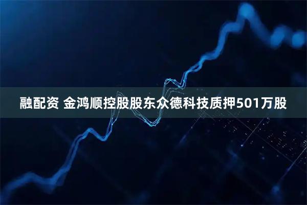 融配资 金鸿顺控股股东众德科技质押501万股