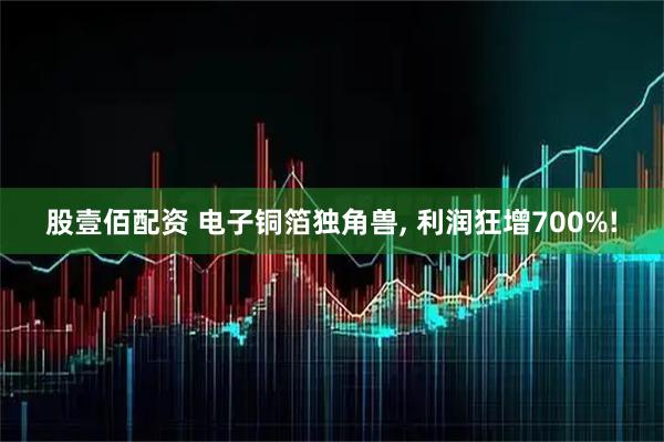 股壹佰配资 电子铜箔独角兽, 利润狂增700%!